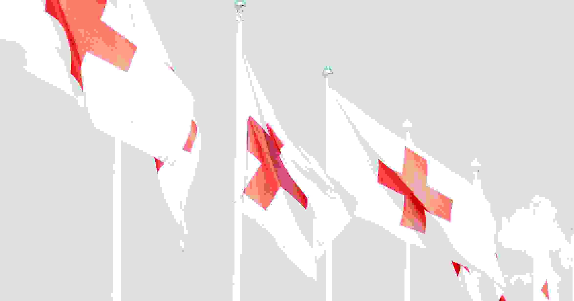 Kuusi Punaisen Ristin lippua lipputangoissa.