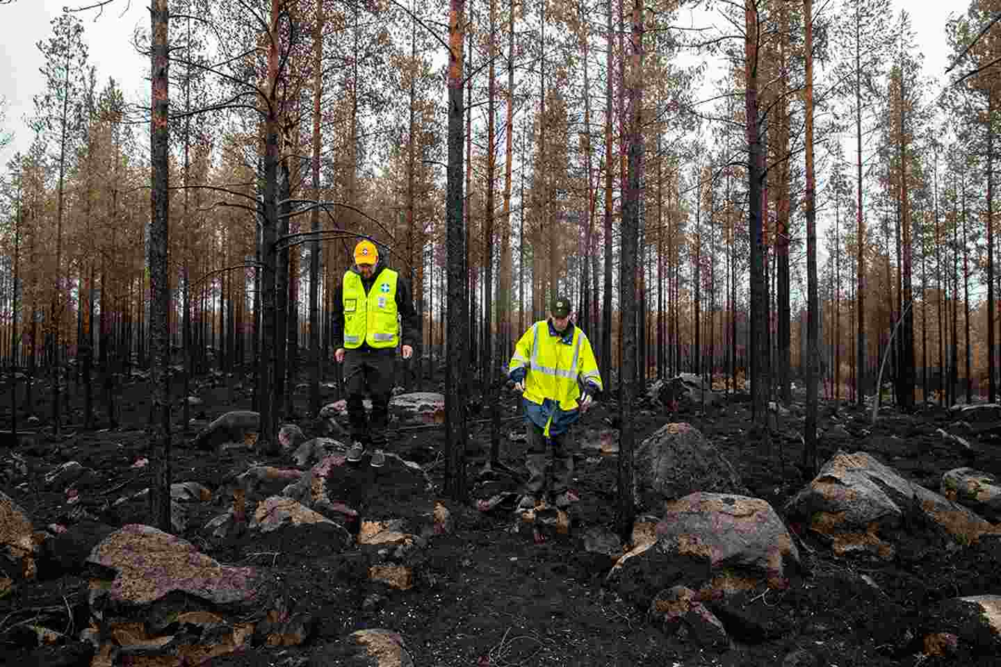 Kaksi keltalliivistä Vapaaehtoisen pelastuspalvelun vapaaehtoista kävelee pahoin palaneen metsän keskellä.