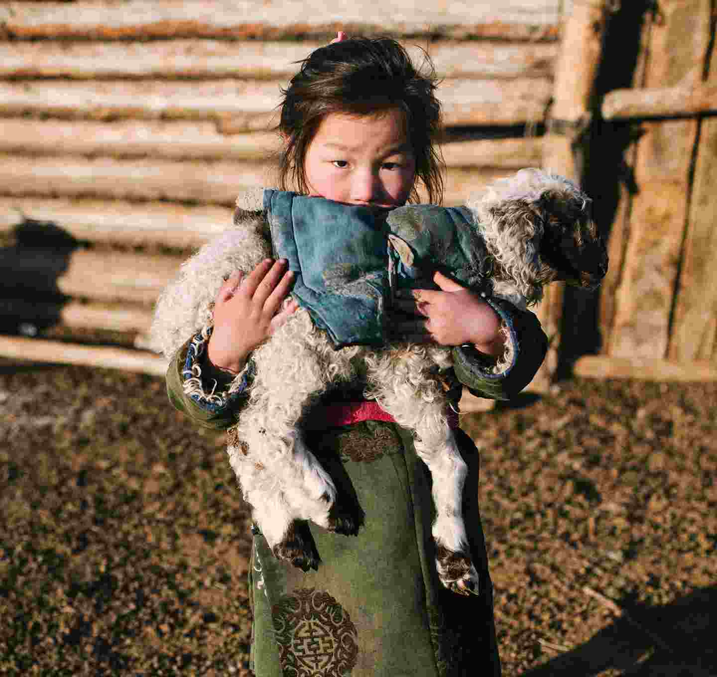Pieni mongolialaistyttö pitää sylissään karitsaa.
