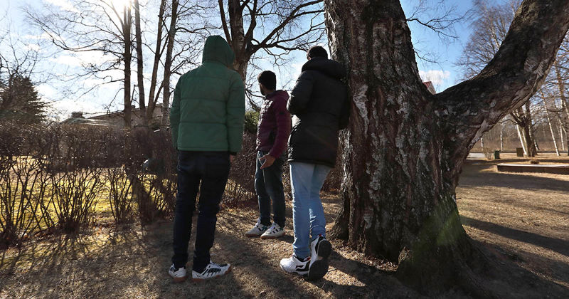 Neuvontaa ilman oleskeluoikeutta oleskeleville