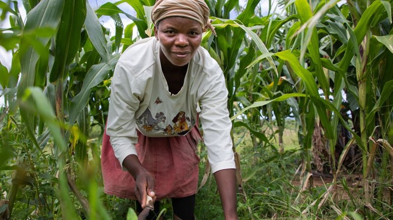 Aiempaa vahvempia yhteisöjä Eswatinissa, Tadzhikistanissa ja Somaliassa